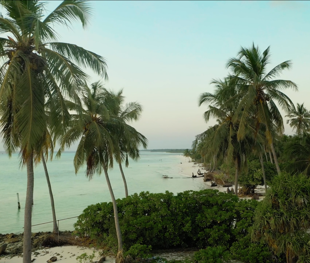 How Liberty Caribbean Improved Customer Experience and Cut Service Dispatches in Half